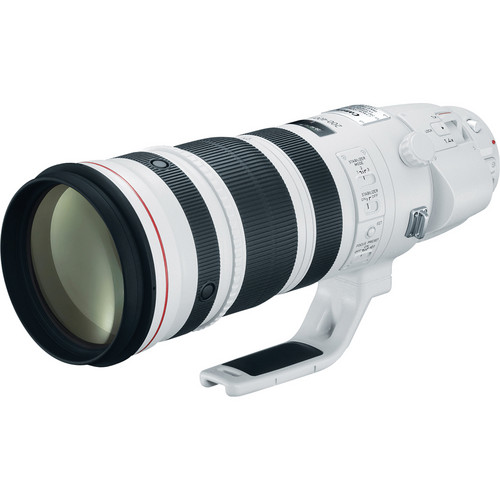 Canon RF 400mm f/4 DO IS USM & RF 200-500mm f/4L IS USM Lenses Coming in 2022 | Canon Camera Rumors